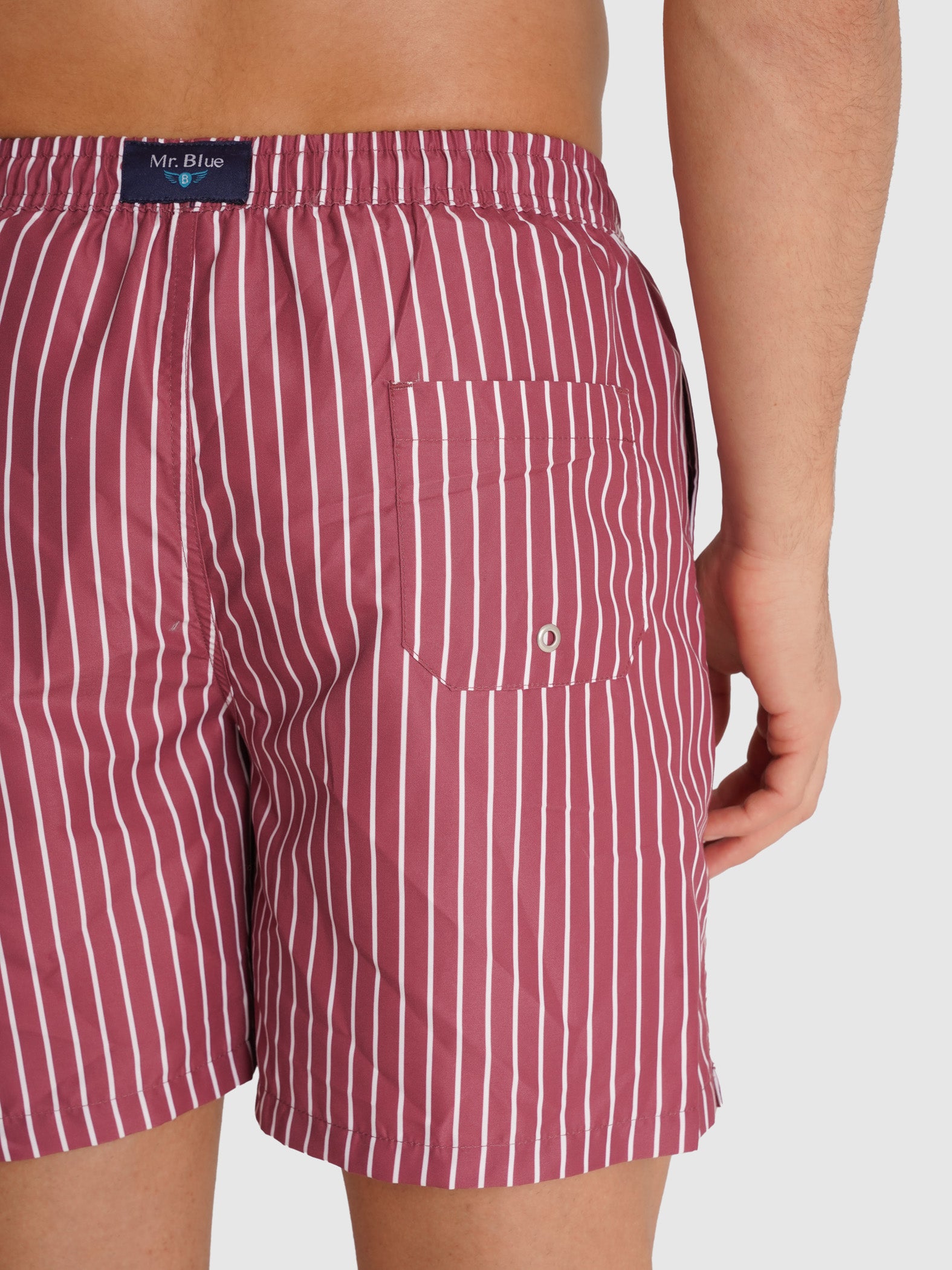 RED REGULAR FIT MR SWIMMING SUIT BLUE