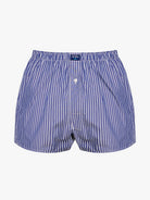 Boxers Classicos Mr. Blue