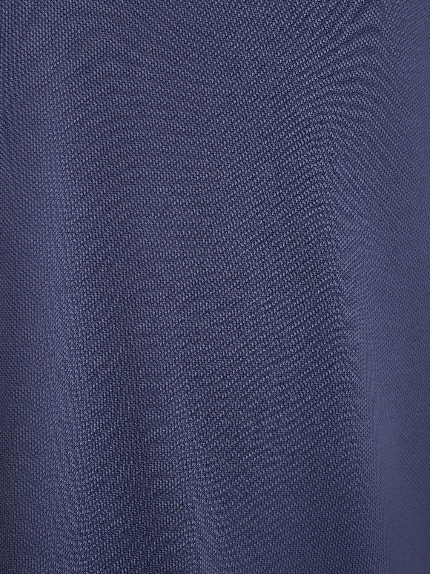 Polo Algodão Cinzento Manga Curta Regular Fit Mr. Blue