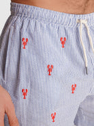 REGULAR FIT MR. BLUE SWIMMING SUIT BLUE