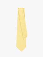 YELLOW TIE MR. BLUE